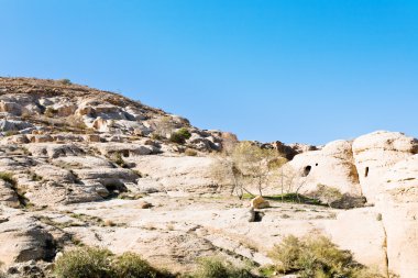 Caves on mountain slope in Bab as-Siq clipart