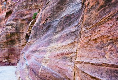 olușturarak kumtaşı duvarları gorge siq petra içinde,