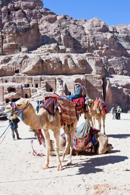 Bedevi kampında Caddesi'ndeki cephe, petra, jordan