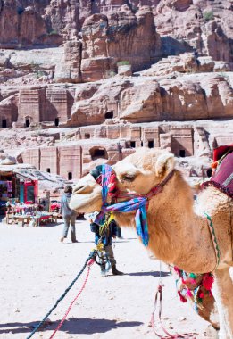 Bedevi kampında Caddesi'ndeki cephe, petra, jordan