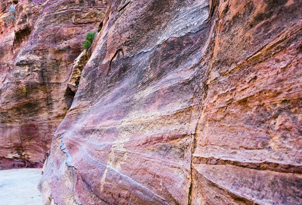 Bunte Sandsteinwände der Schlucht Siq in Petra, — Stockfoto