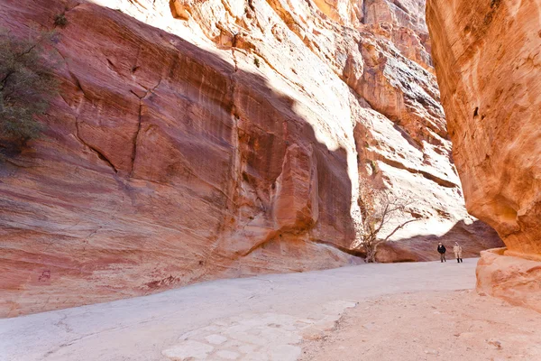The Siq sandstone passage to ancient city Petra — Stock Photo, Image