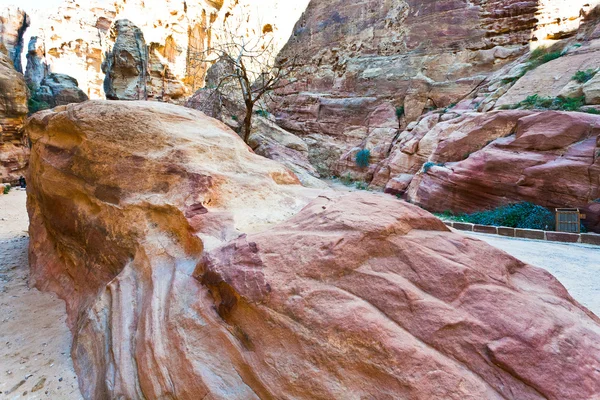 Rocce di arenaria erosa in gola Siq a Petra , — Foto Stock