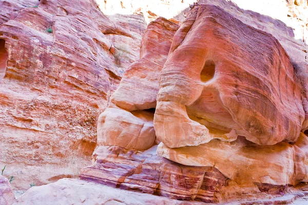 Elefante di roccia arenaria in gola Siq a Petra — Foto Stock