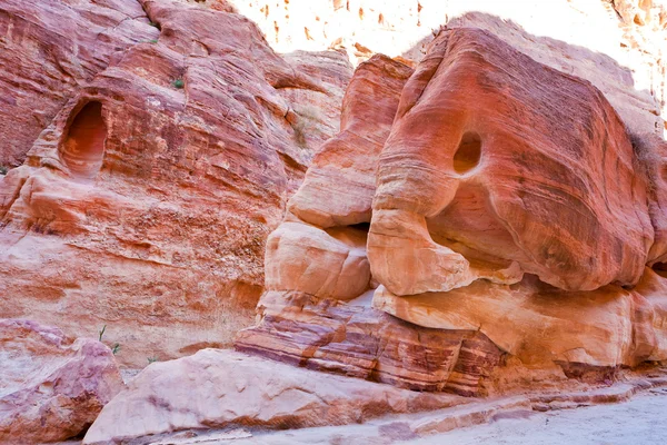 Sandstone rock elephant in gorge Siq in Petra — Stock Photo, Image