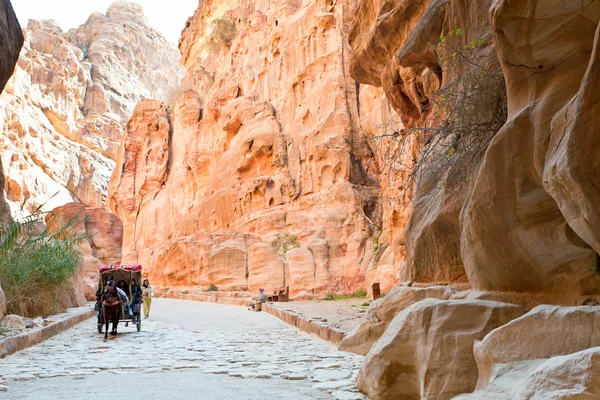 Bedouin carriage in Siq passage to Petra city — Stock Photo, Image