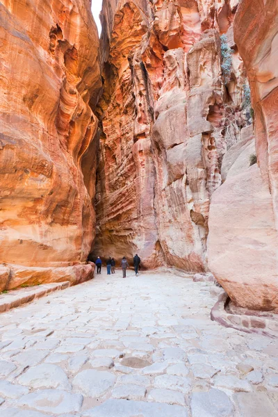 Antique roman paved road in Siq passage in city Petra, — Stock Photo, Image