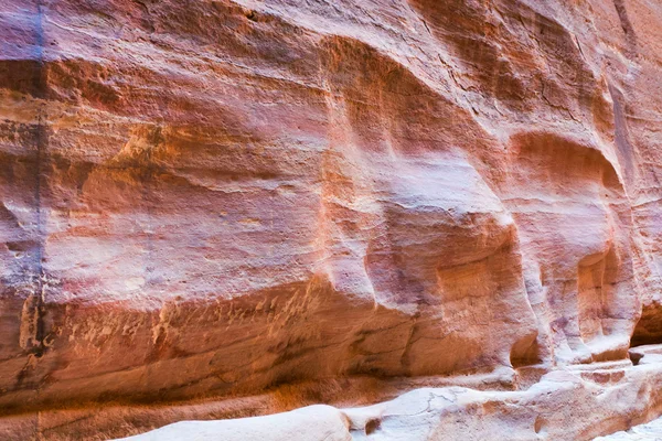 Kamelskulptur in Sandsteinmauer von Siq Passage zu Petra geschnitzt — Stockfoto