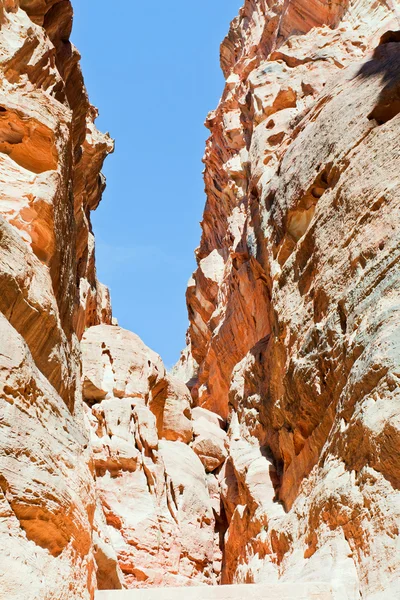 협곡 페트라에 그 위에 모래 바위 벽 — 스톡 사진