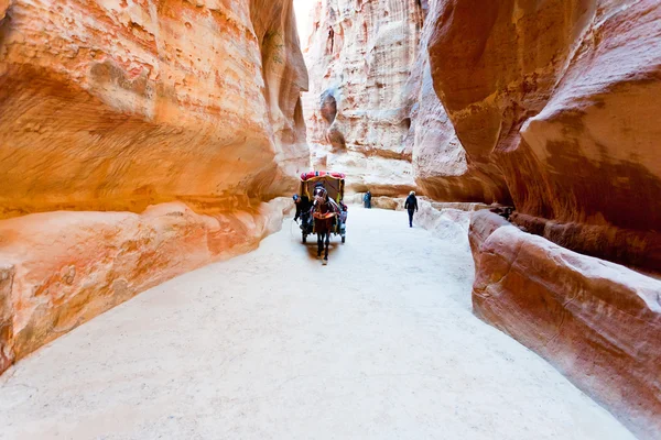 Carruaje beduino en el pasaje Siq a la ciudad de Petra —  Fotos de Stock