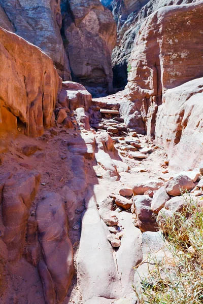 Lit de rivière sec de Wadi Musa à Petra — Photo