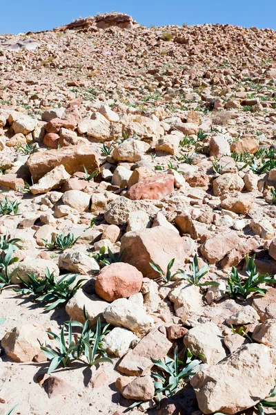 Каменные руины в долине пустыни в Петра — стоковое фото