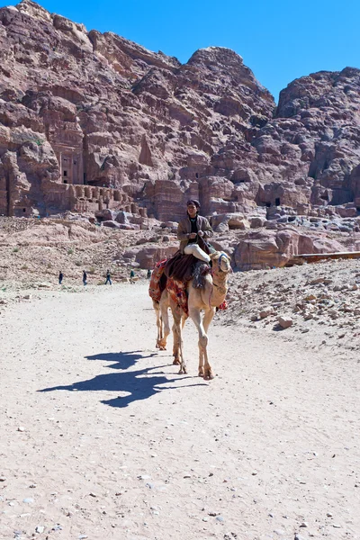 Camello y beduino en el valle de Petra en la ciudad antigua Petra — Foto de Stock