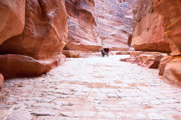 El Siq - el paso estrecho a la ciudad antigua Petra —  Fotos de Stock