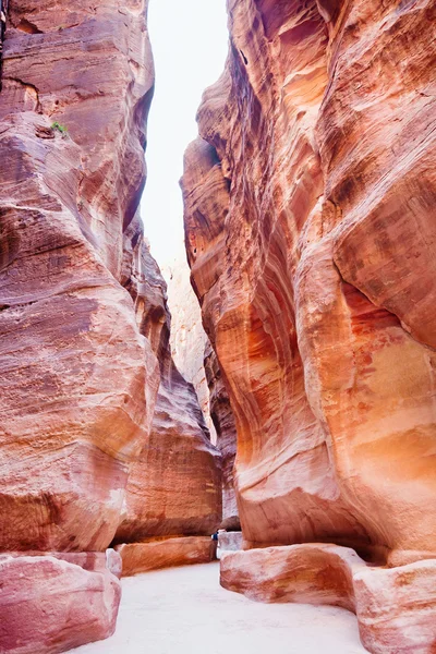 The Siq - narrow pass to ancient city Petra — Stock Photo, Image