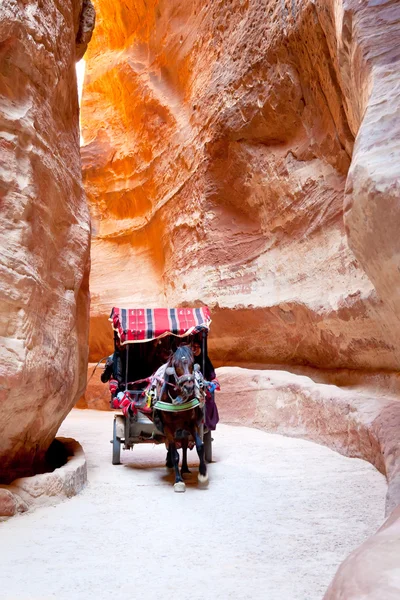 Transporte beduíno na passagem Siq para a cidade de Petra — Fotografia de Stock