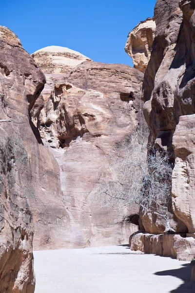 Acantilados de roca de arena sobre el barranco de Siq en Petra — Foto de Stock