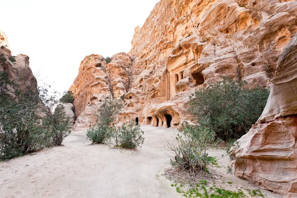 Panorama de la place à Little Petra — Photo