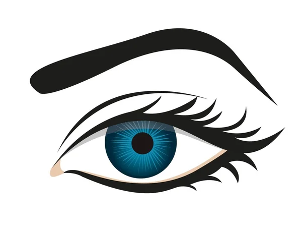 Cílios oculares detalhados e sobrancelha — Vetor de Stock