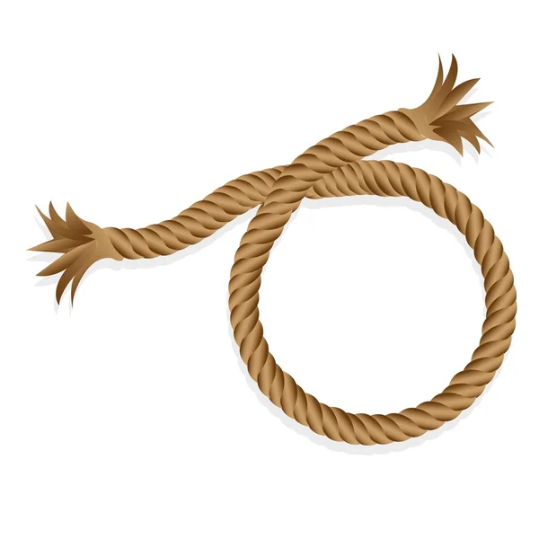 分離された編みこみのロープ — ストックベクタ