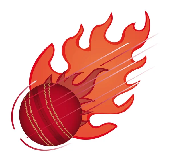 Pelota de cricket — Archivo Imágenes Vectoriales