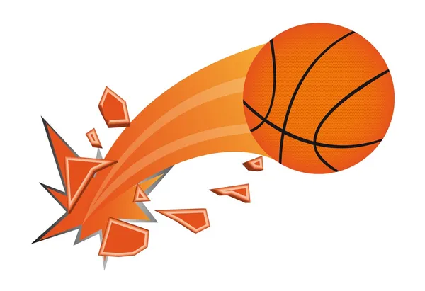 Palloni da basket — Vettoriale Stock