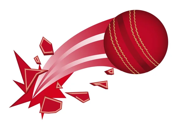 Cricket — Image vectorielle