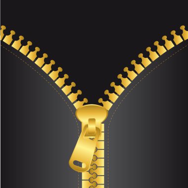 gold zip vector clipart