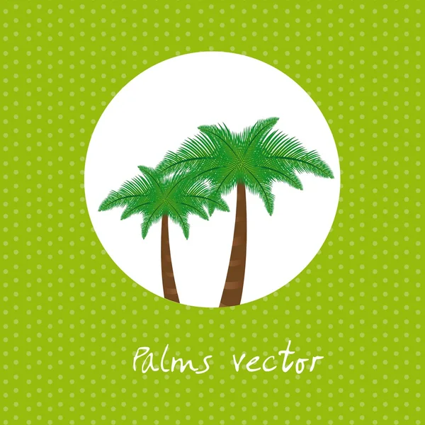 Palmen vector — Stockvector
