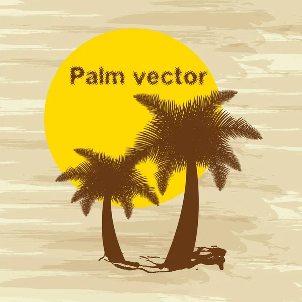 Silhueta palmeiras —  Vetores de Stock