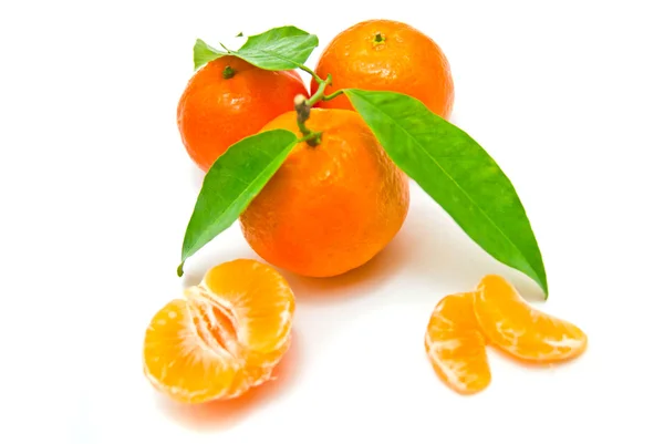 Fresh tangerines on a branch on white — Stock Photo, Image
