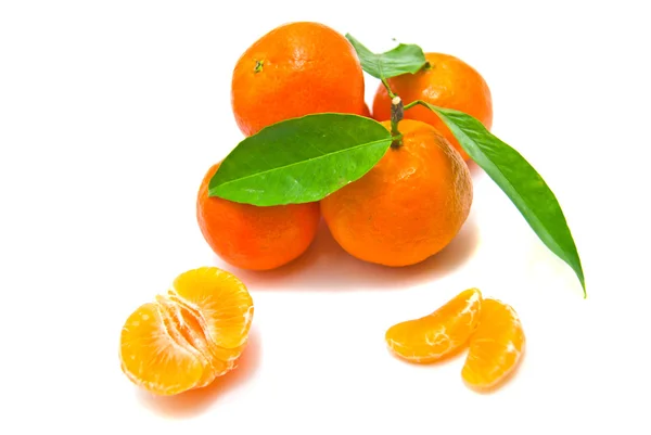 Tangerines on a branch — Stock Photo, Image