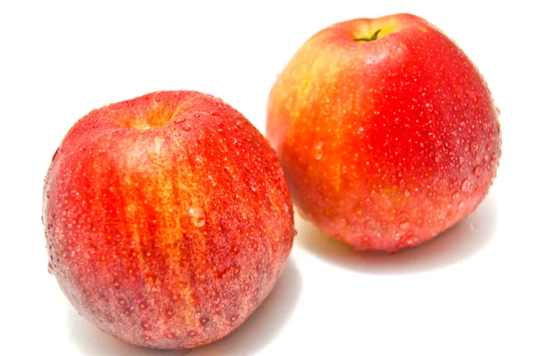 Deux pommes rouges sur blanc — Photo