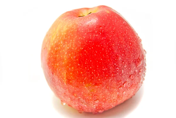 Verse rode appel op wit — Stockfoto