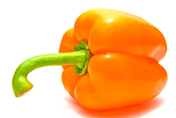 Oranje peper close-up op wit — Stockfoto