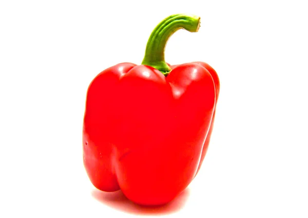 Singolo peperone rosso primo piano su bianco — Foto Stock