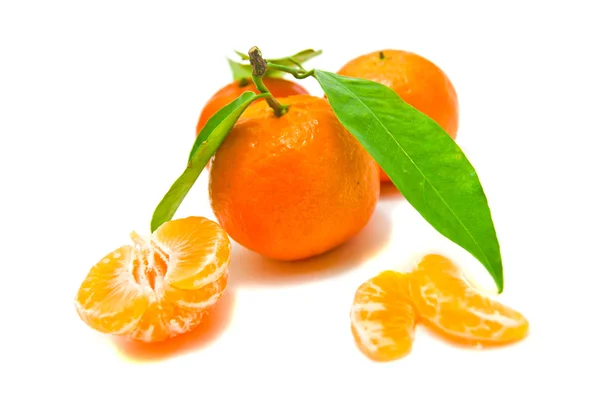 Čerstvé mandarinky na větvi — Stock fotografie