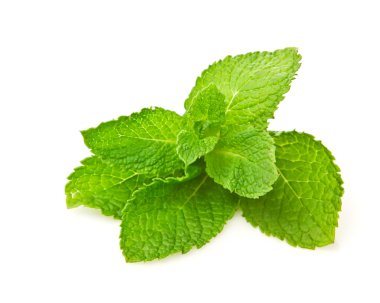 Fresh green mint isolated on white clipart