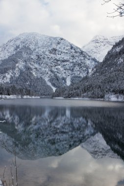 plansee, Avusturya