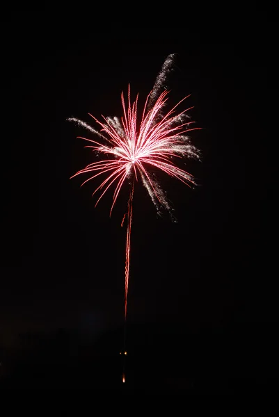 Firework red and silver — Stock Photo, Image