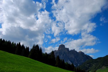 Mountain and grass