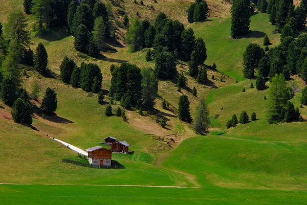 Paesaggio verde — Foto Stock