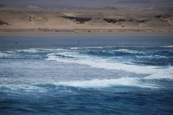 Дикі хвилі в пустелі — стокове фото