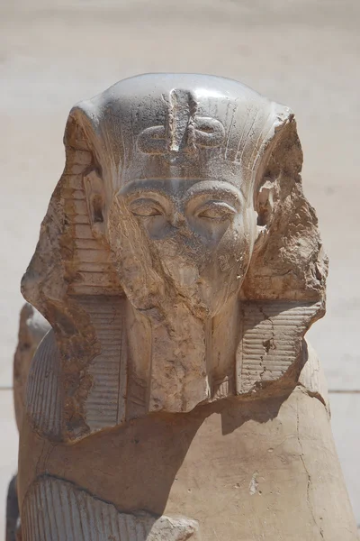 Єгипетський голова — стокове фото
