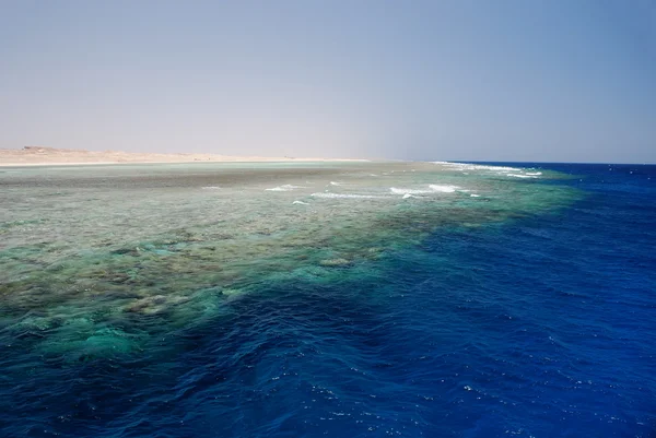 巨大なサンゴ礁 — ストック写真