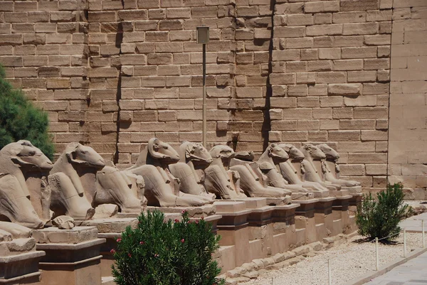 Скульптури в Єгипті — стокове фото