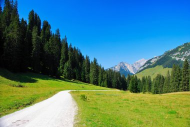 Hiking trail doğa