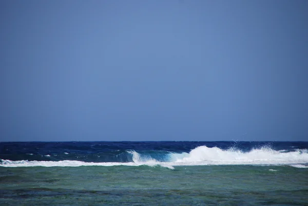 Surfen op zee — Stockfoto