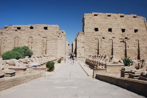 Храмовий комплекс в Єгипті — стокове фото