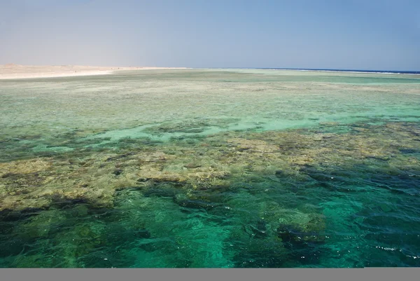 Barriera corallina con bassa marea — Foto Stock